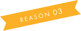 Reason3